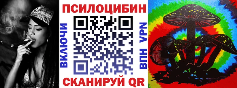 Галлюциногенные грибы Psilocybine cubensis  где можно купить наркотик  kraken ссылки  Кашин 